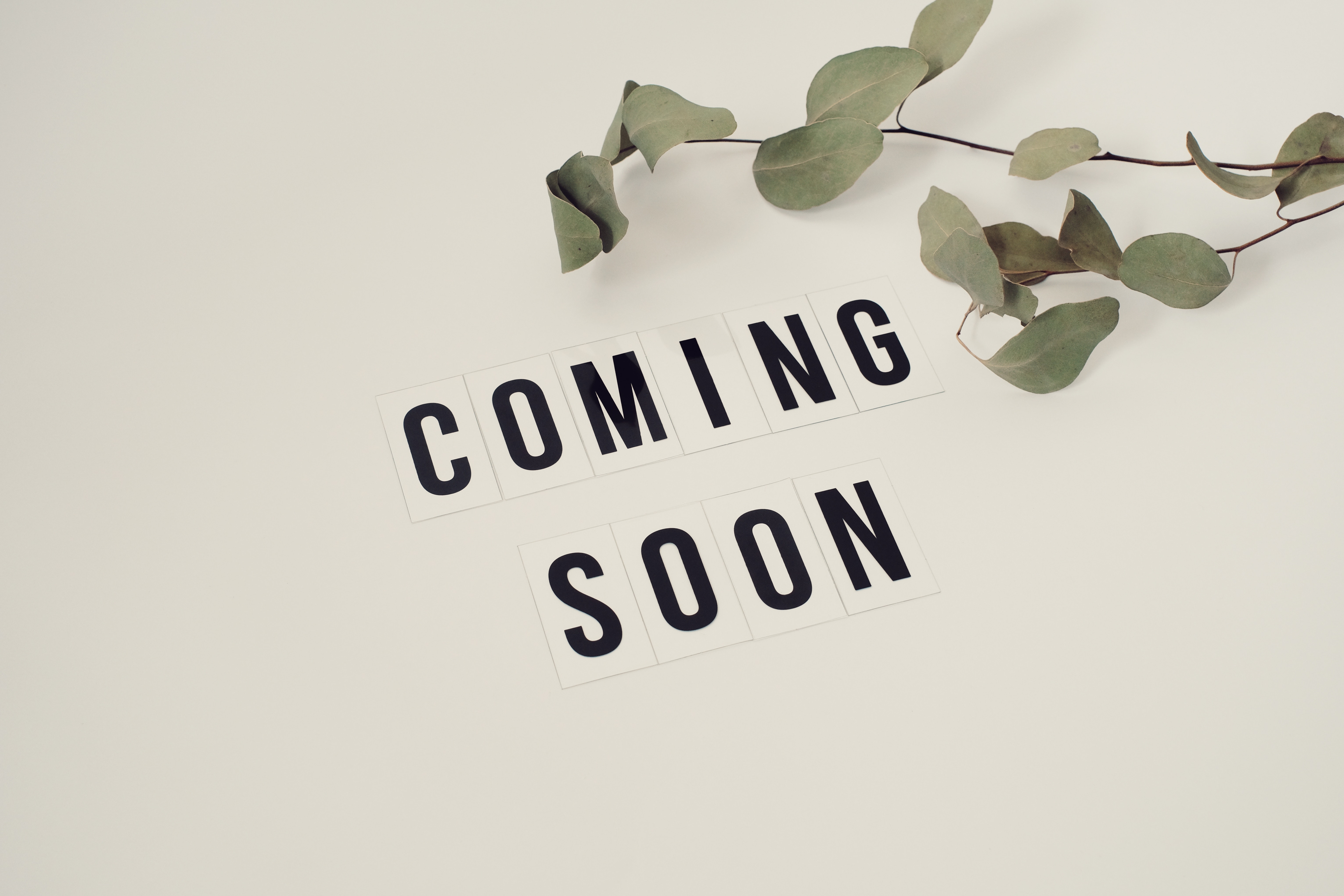 Coming Soon!